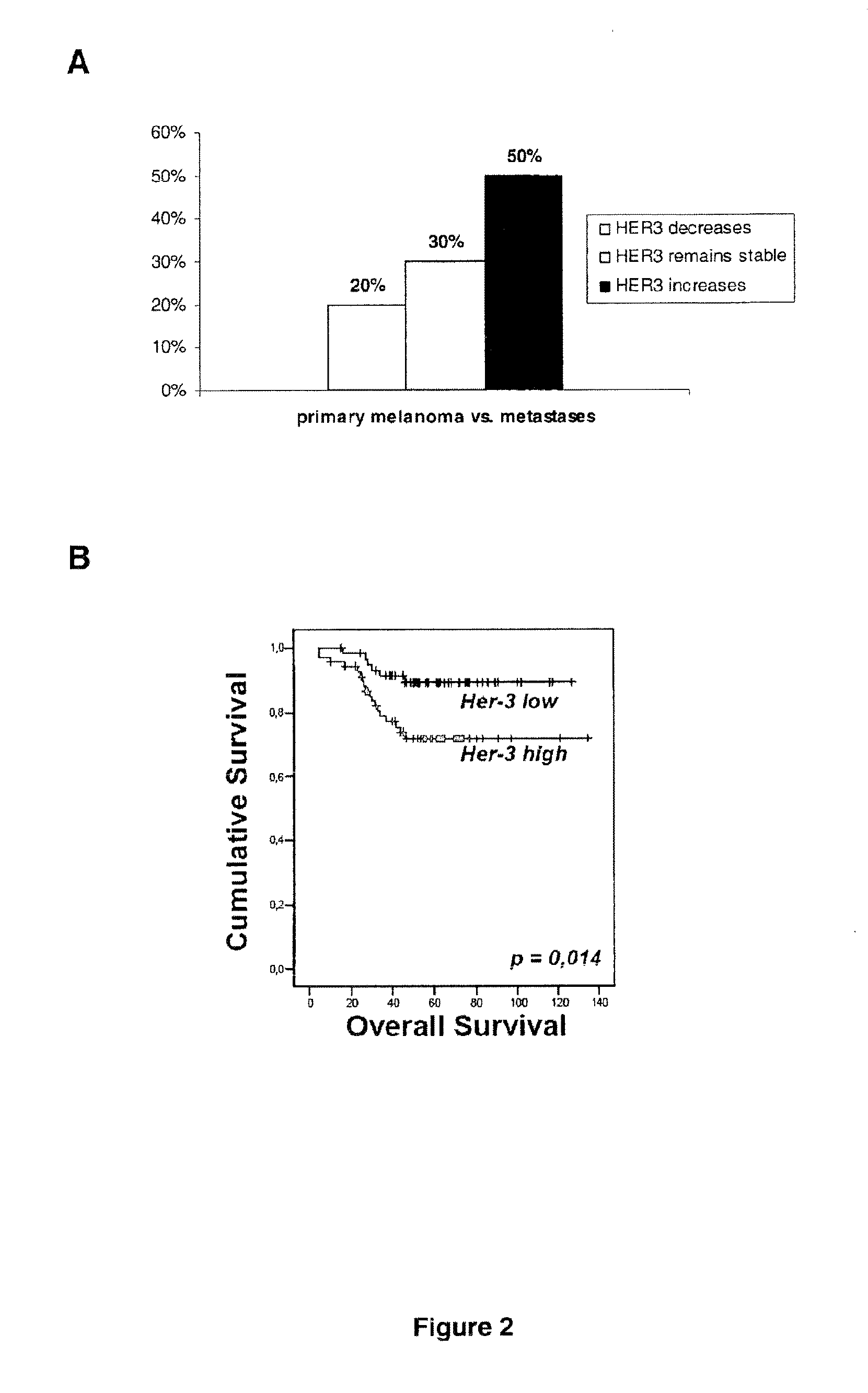 Her3 as a determinant for the prognosis of melanoma