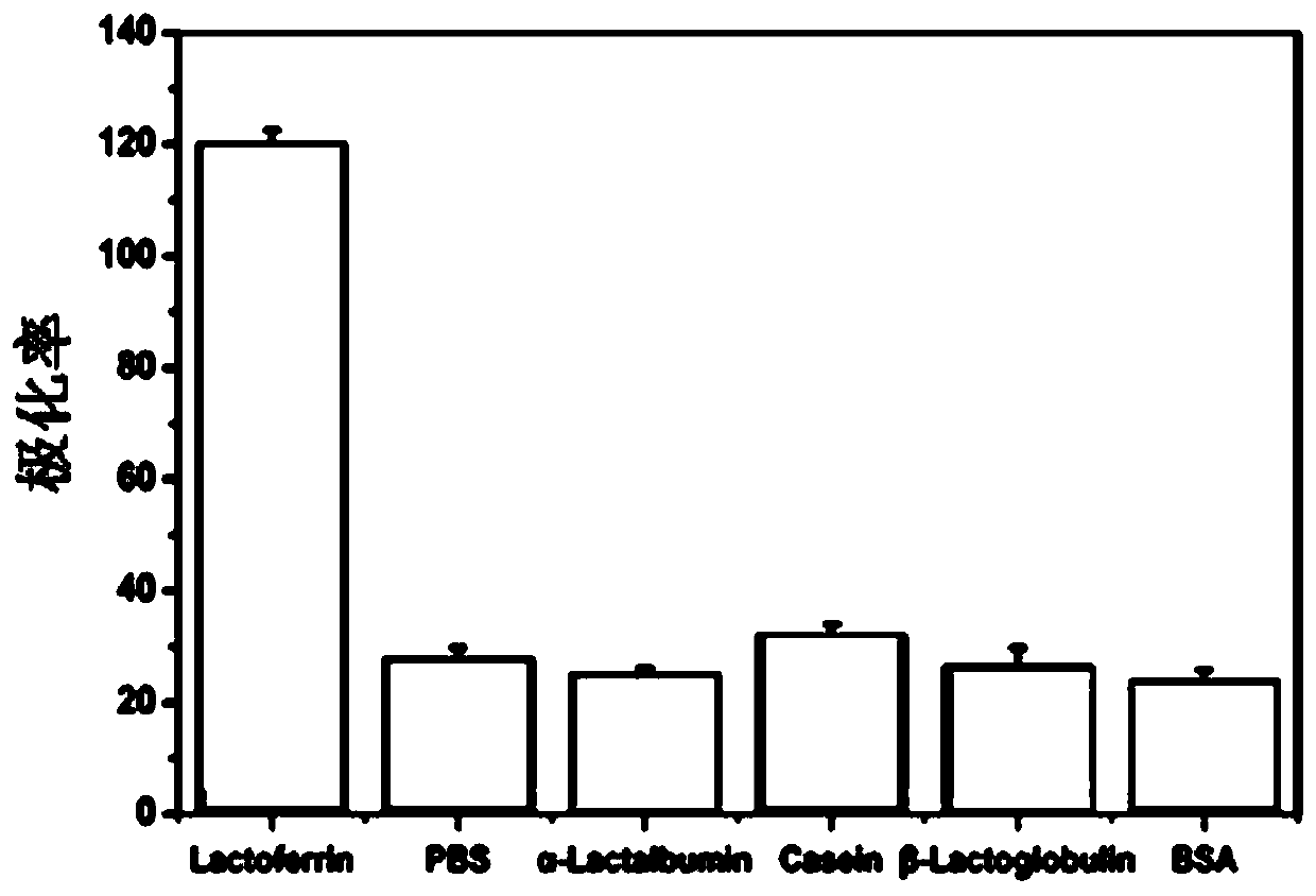 An aptamer for detecting lactoferrin content and its application