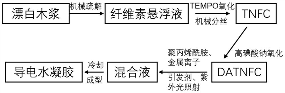 Conductive hydrogel based on nanocellulose-polyacrylamide-metal ions as well as preparation method and application of conductive hydrogel