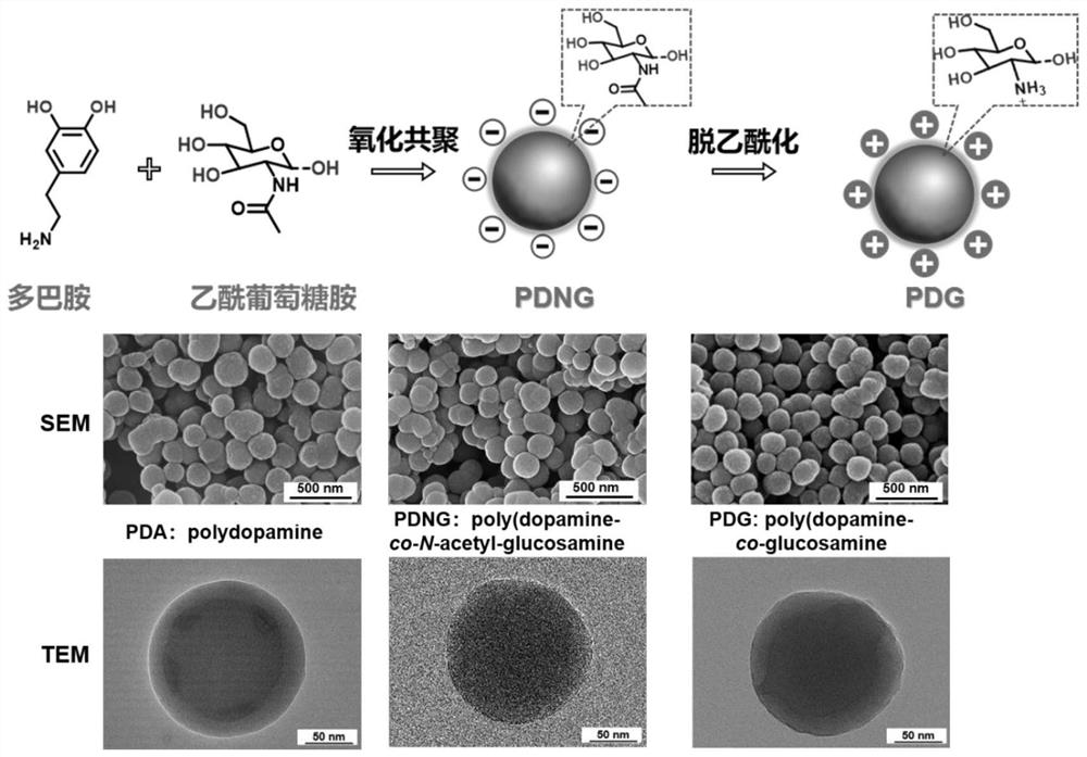 Nano drug of photoinduced release of nitric oxide anti-biofilm, and preparation and application method