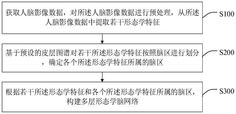 Multilayer morphological brain network construction method, intelligent terminal and storage medium