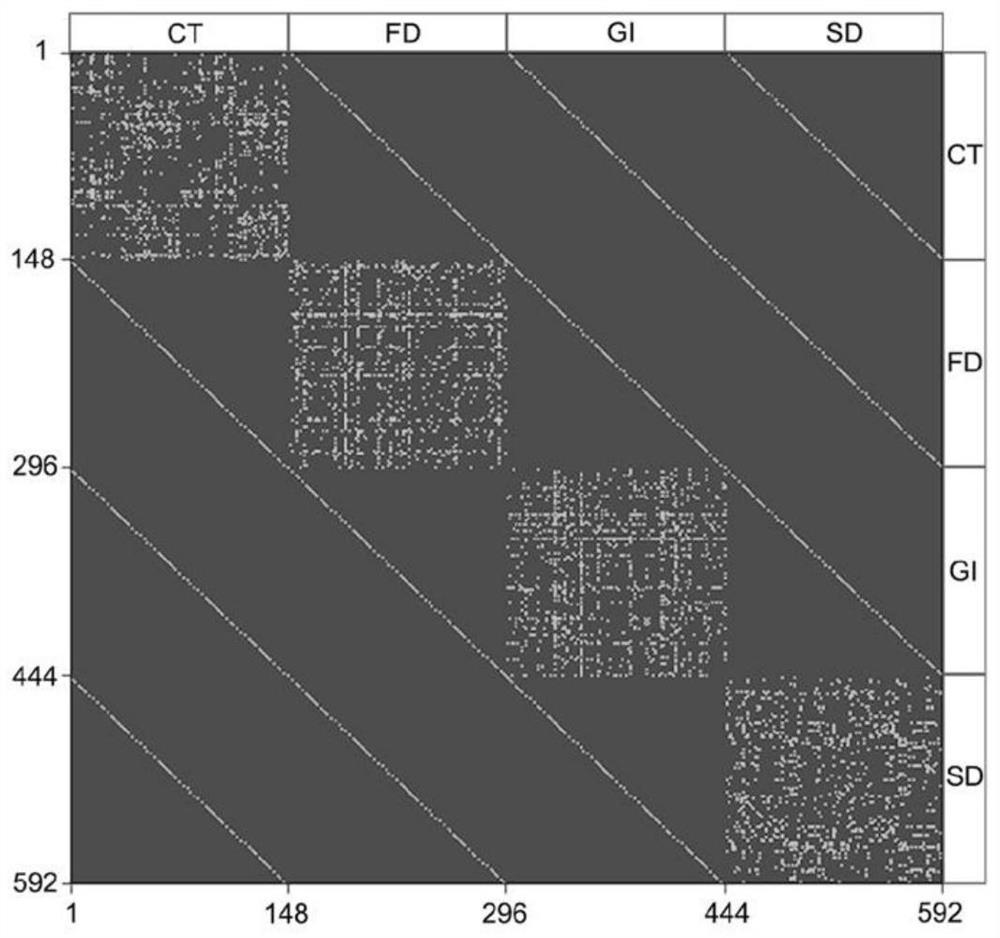 Multilayer morphological brain network construction method, intelligent terminal and storage medium