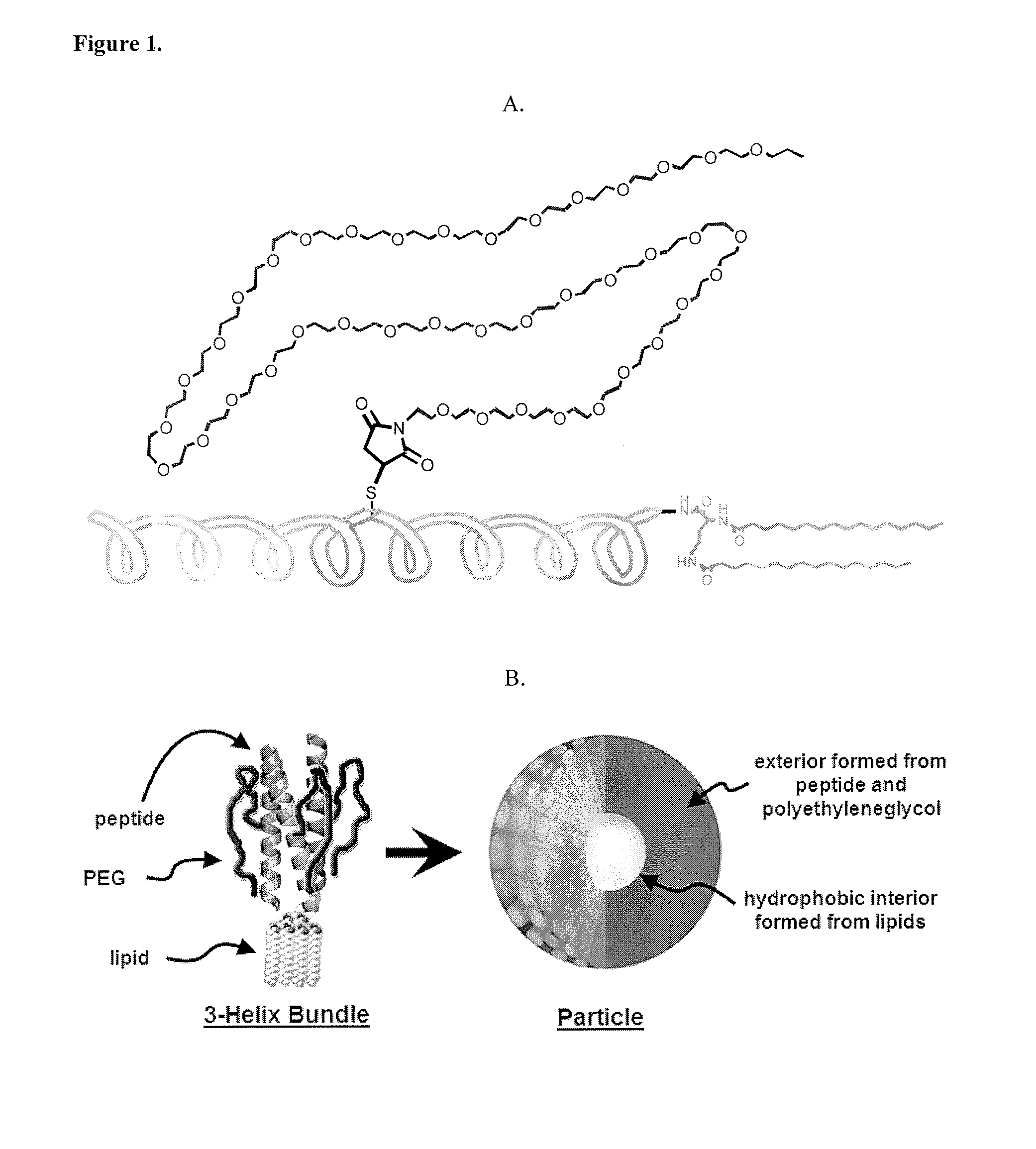 Lipid-peptide-polymer conjugates and nanoparticles thereof