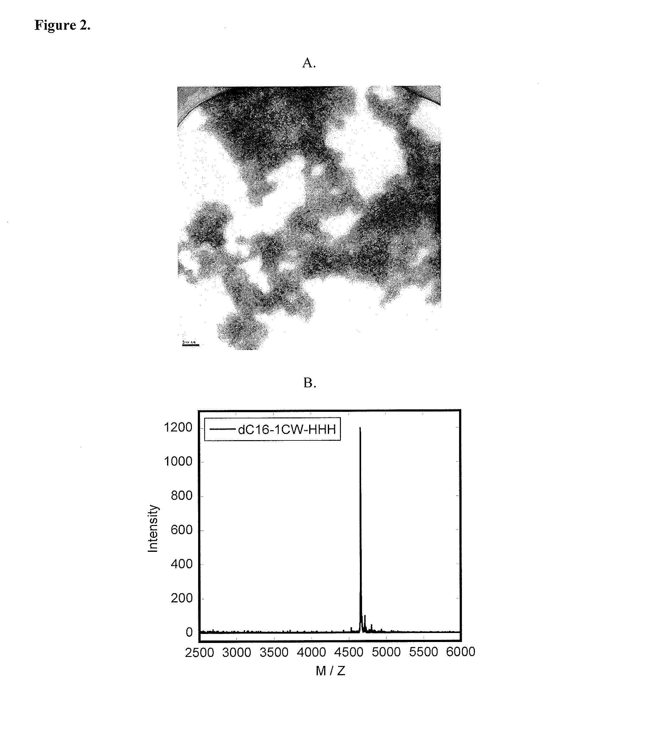 Lipid-peptide-polymer conjugates and nanoparticles thereof