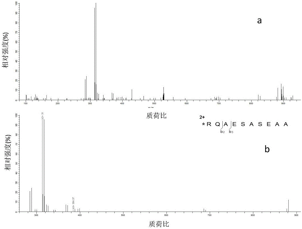 Polypeptide amino acid sequence De novo sequencing method based on chemical modification and isotope labeling