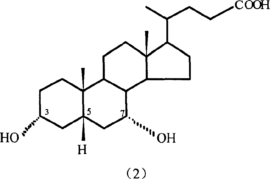 Preparation method of 7-keto lithocholic acid