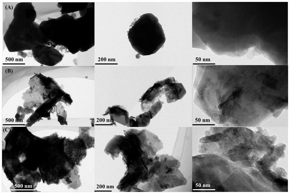 Catalyst and method for preparing biodiesel using the catalyst