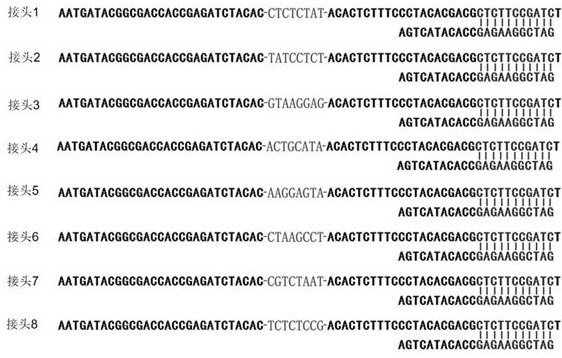 A thyroid multi-gene combined detection kit