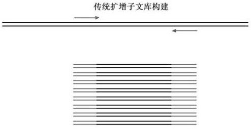 A thyroid multi-gene combined detection kit