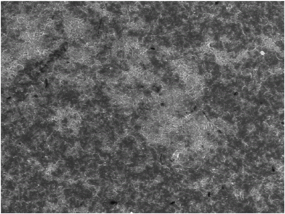 Dopamine electrochemical sensing electrode based on double-metal nanoparticle doped vanadium-containing heteropoly acid/carbon nanotubes