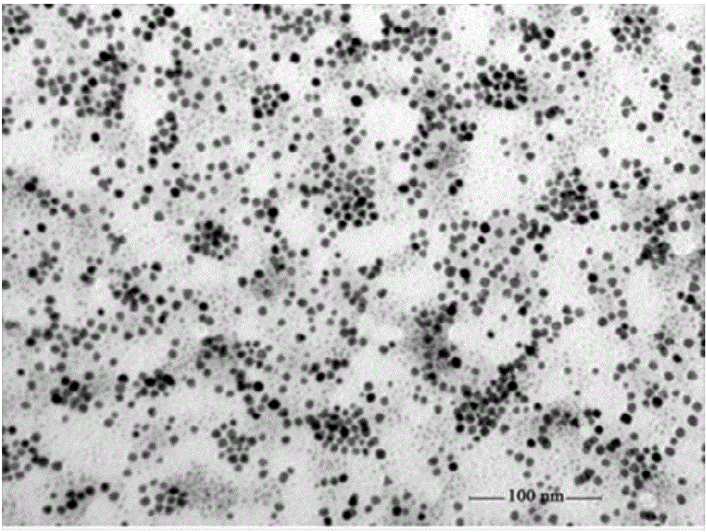 Dopamine electrochemical sensing electrode based on double-metal nanoparticle doped vanadium-containing heteropoly acid/carbon nanotubes