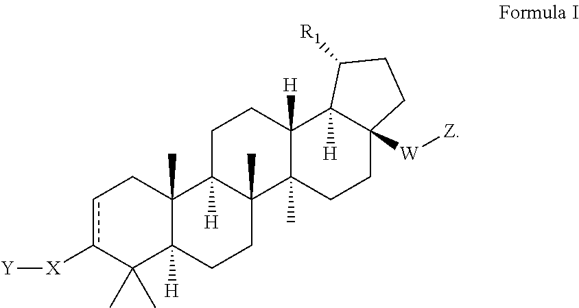 C17-aryl substituted betulinic acid analogs