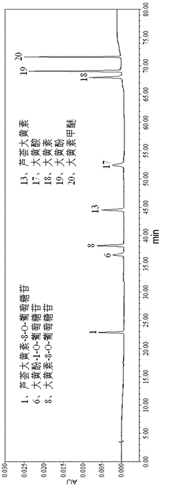 Method for extracting total anthraquinones in rhubarb