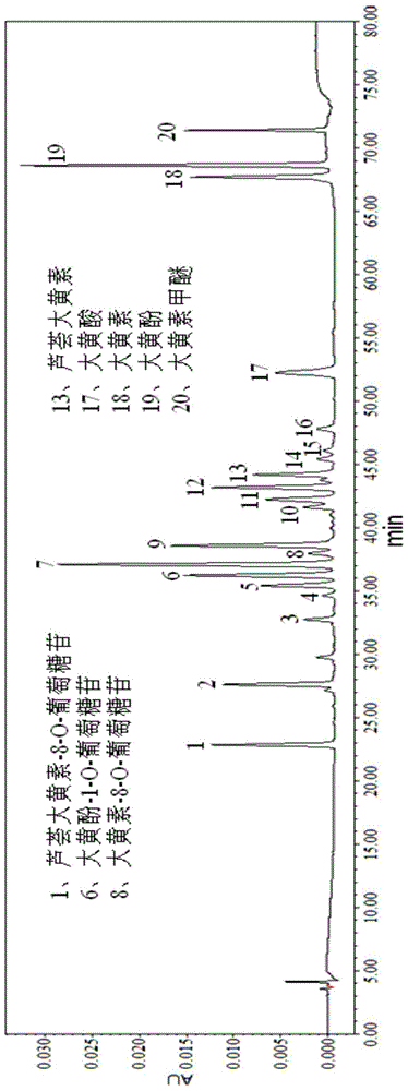 Method for extracting total anthraquinones in rhubarb