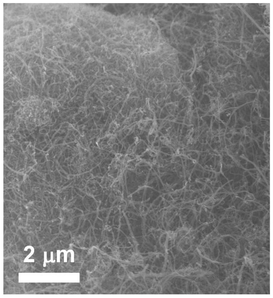 A kind of pyridine nitrogen enrichment carbon nanotube catalyst and its preparation method and application