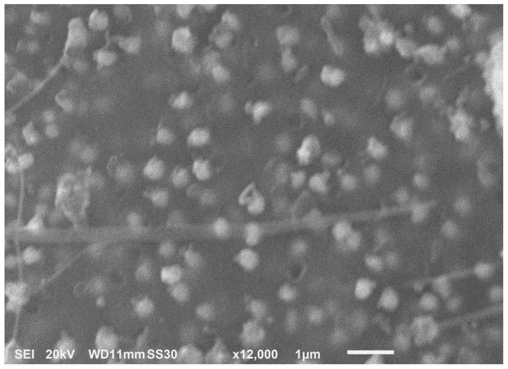 A rapid preparation method of resin-type carbon-supported copper catalyst