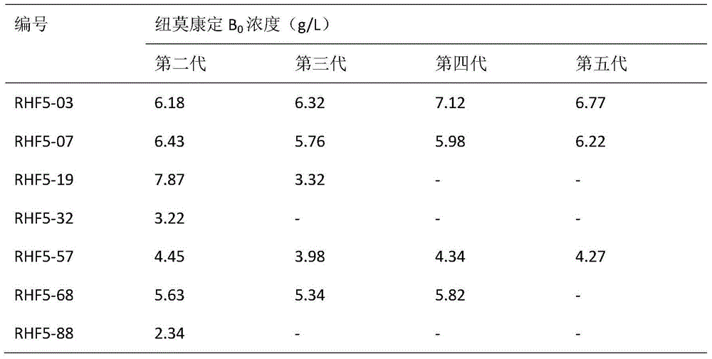 Genetic recombination strain for producing pneumocandins B0, breeding method and application