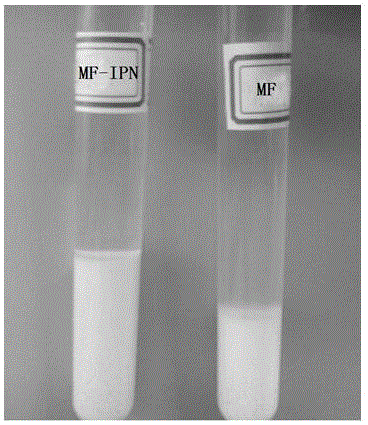 Solid amine interpenetrating network porous amino resin and its preparation method and use