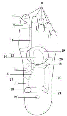 Cushioning and massaging combined insole