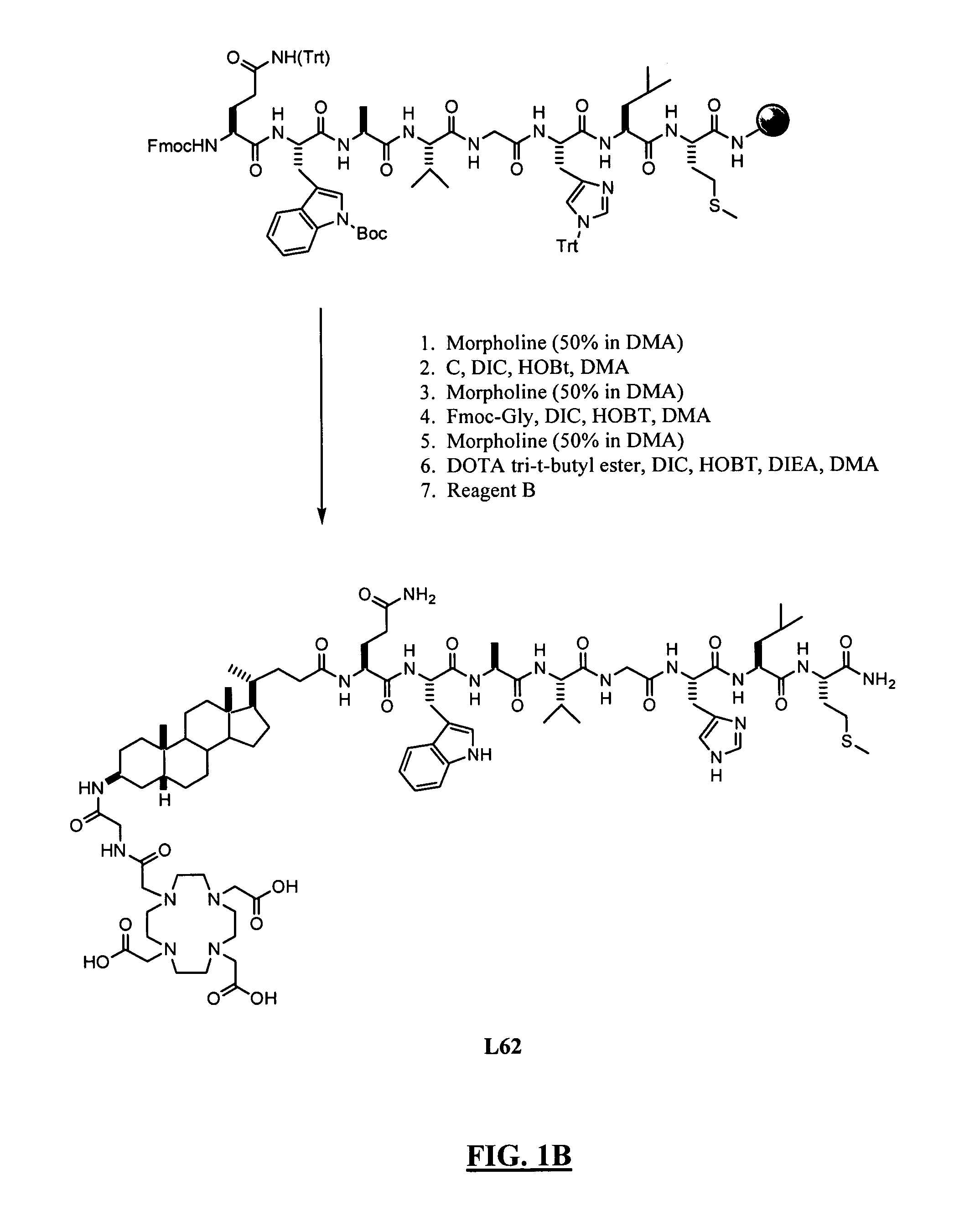 Gastrin releasing peptide compounds