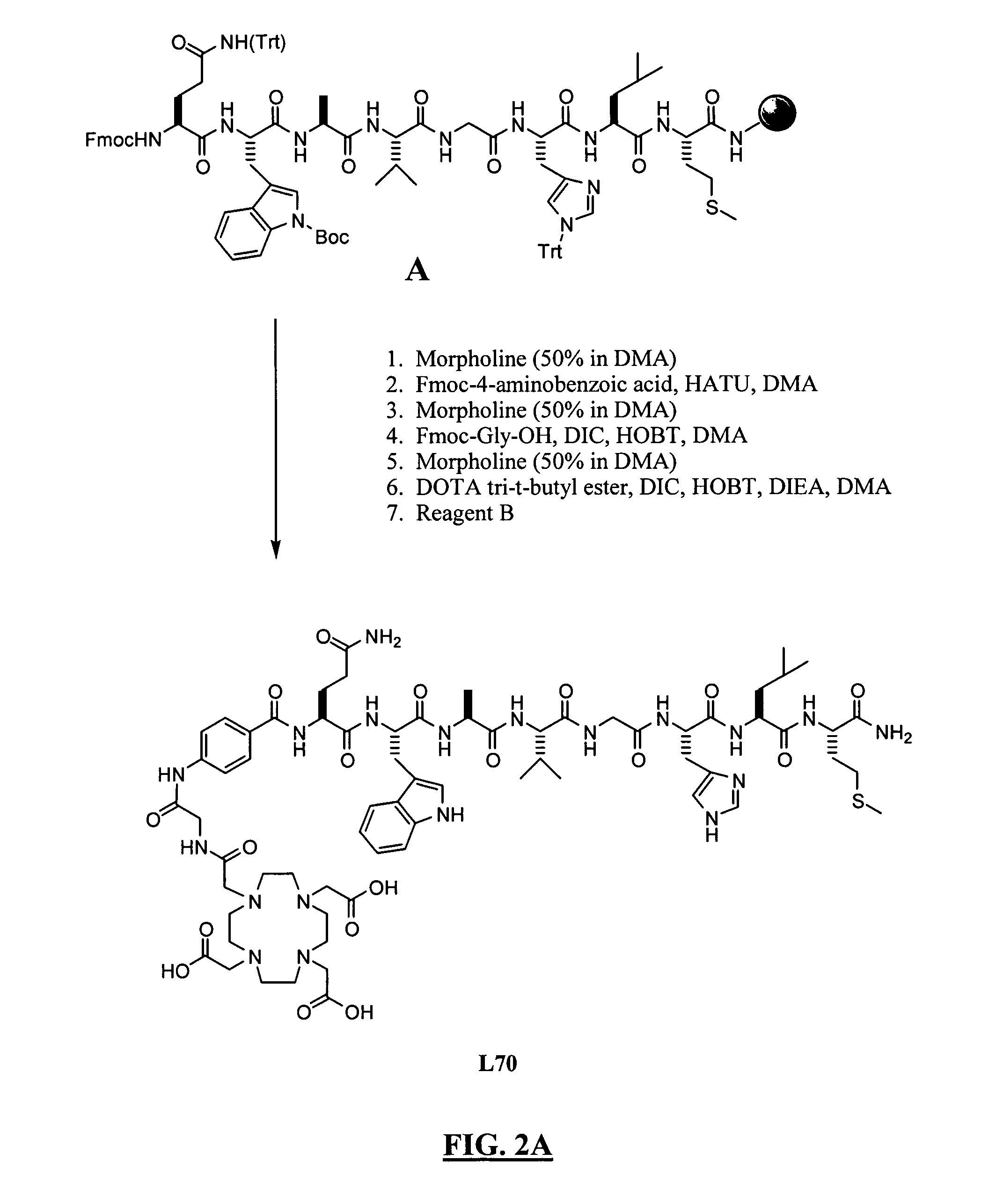 Gastrin releasing peptide compounds