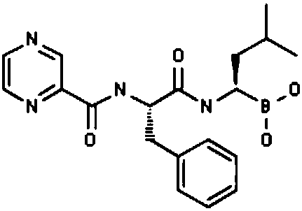 Bortezomib pharmaceutical composition and applications thereof