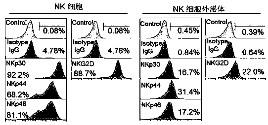 Application of NK cell exosome and related miRNA in preparation of COVID-19 virus inhibitor