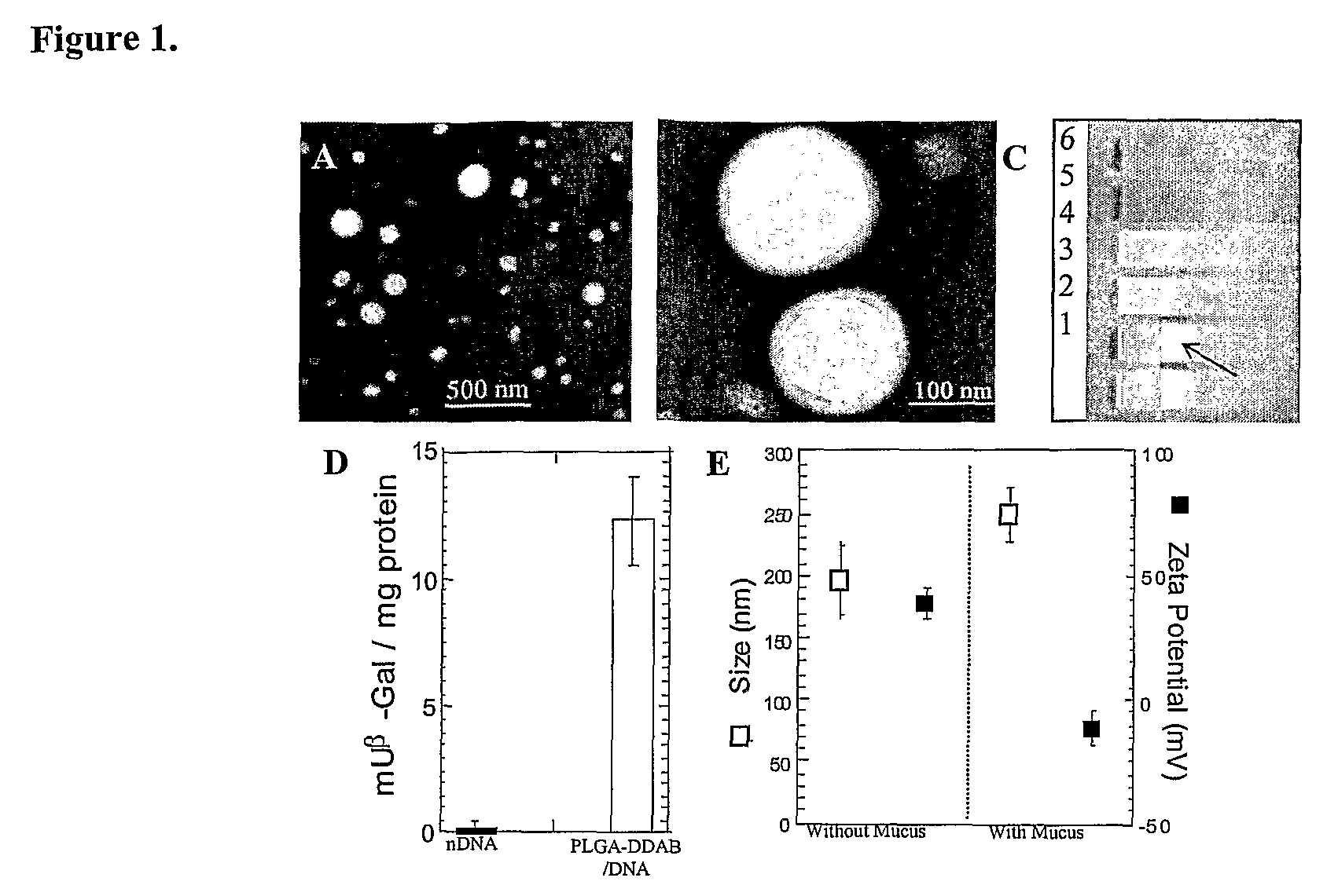 Drugs and gene carrier particles that rapidly move through mucous barriers