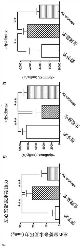 Inhibition of ZD17-JNK interaction as therapy for acute myocardial infarction