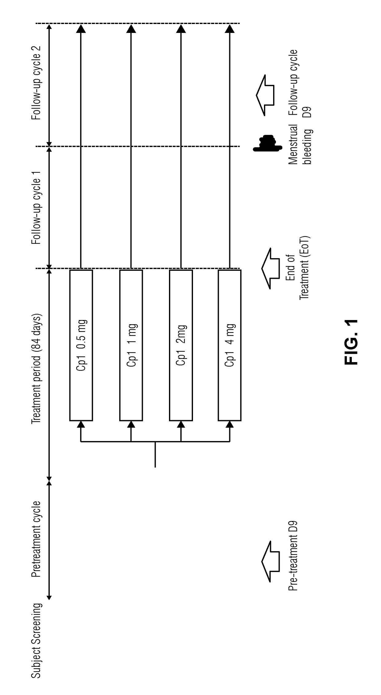 Selective progesterone receptor modulators (SPRM) and stabilized estrogen level in patient