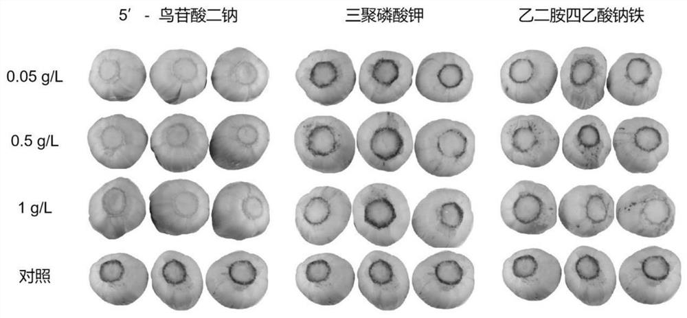 Method for inhibiting stem incision browning after baby cabbage harvesting