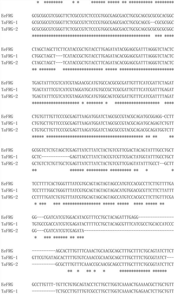 Method of maintaining male fertility and its application