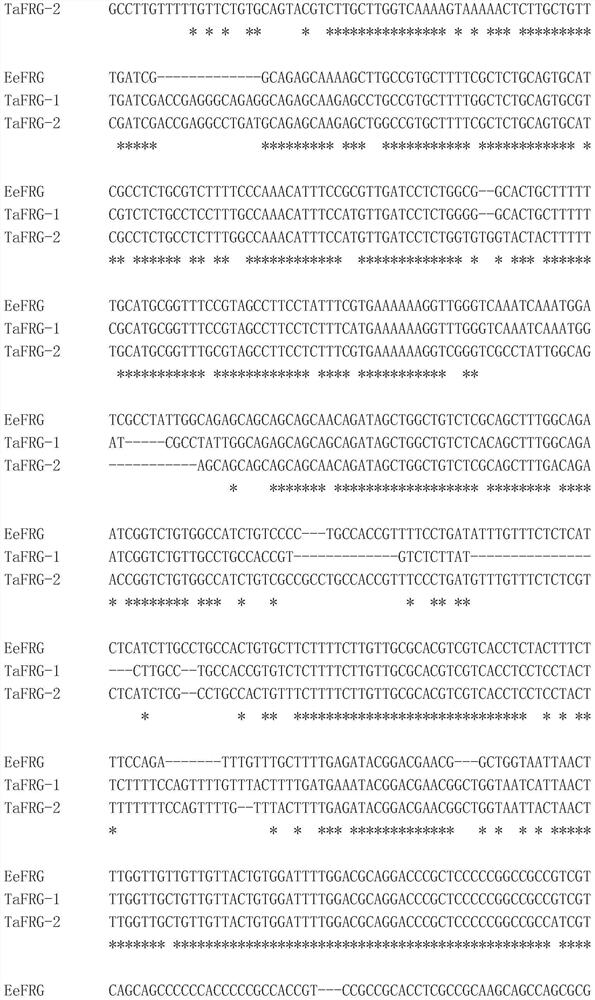 Method of maintaining male fertility and its application