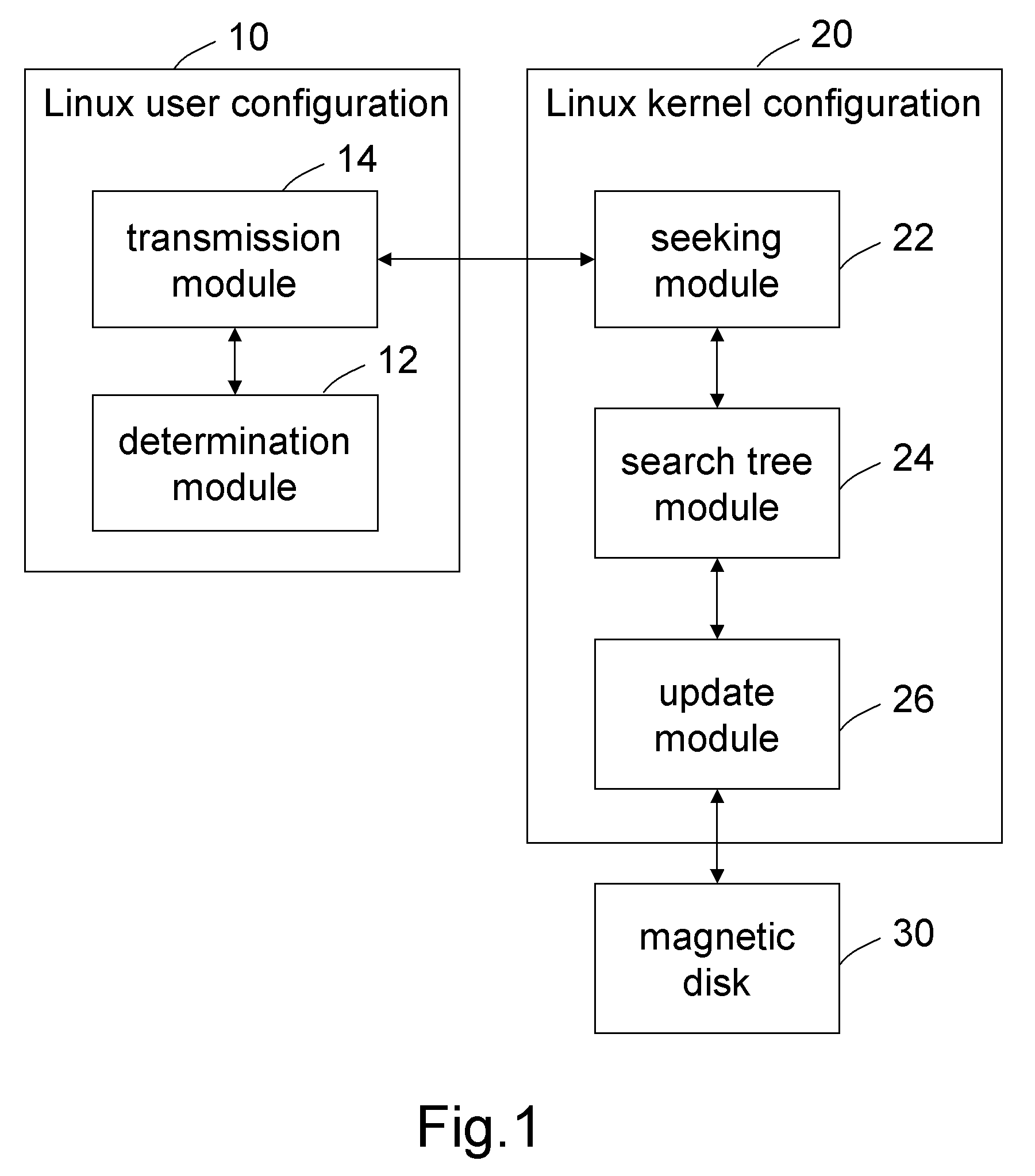 System and method for updating dirty data of designated raw device