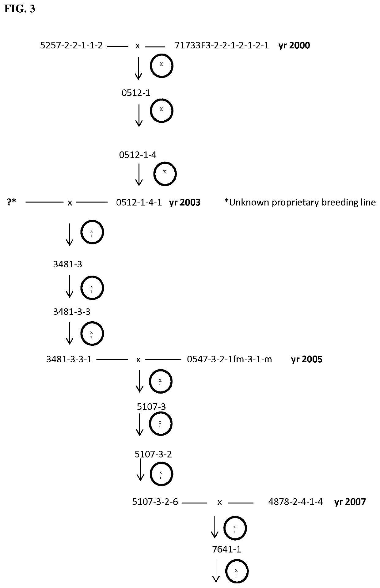 Altered pigment deposition in <i>Tagetes patula</i>