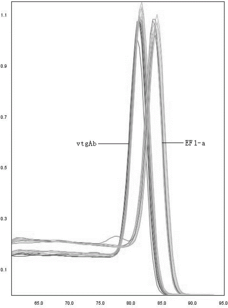 Application of scatophagus argus vitellogenin gene to detection of water area environmental hormones