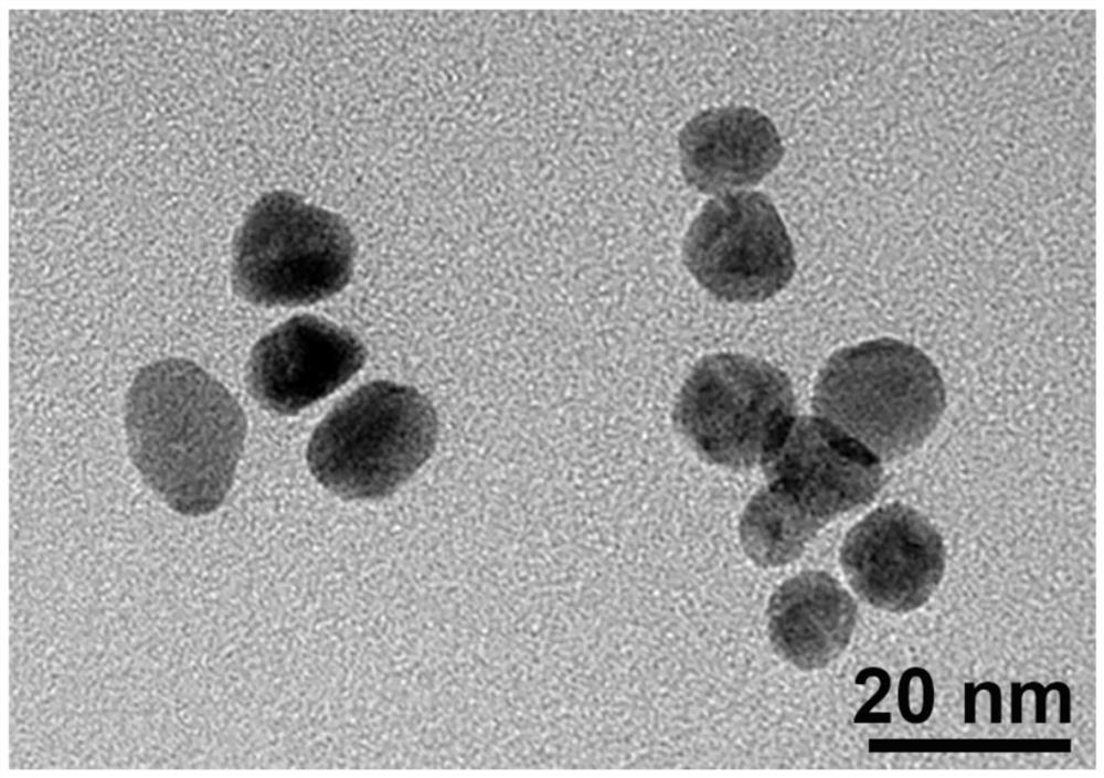 PH-responsive bi-crosslinking mussel bionic adhesion intelligent drug-loaded hydrogel as well as preparation method and application of pH-responsive bi-crosslinking mussel bionic adhesion intelligent drug-loaded hydrogel