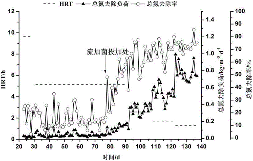 Method for quick starting of anaerobic ammonium oxidation technology at room temperature in low matrix