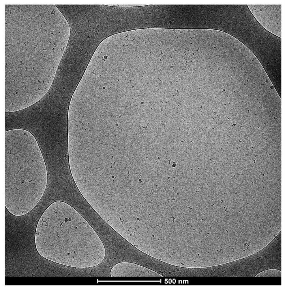 Precise block polymer nanoassembly and preparation method thereof