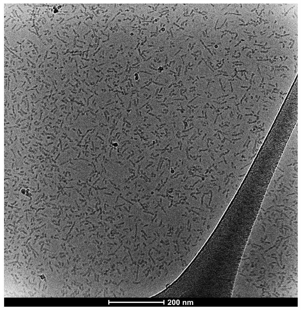 Precise block polymer nanoassembly and preparation method thereof