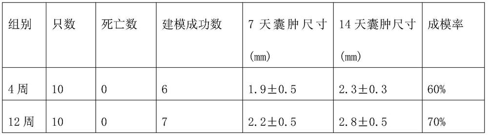 Method for establishing spinal dura mater leakage arachnoid hernia type sacral canal cyst model