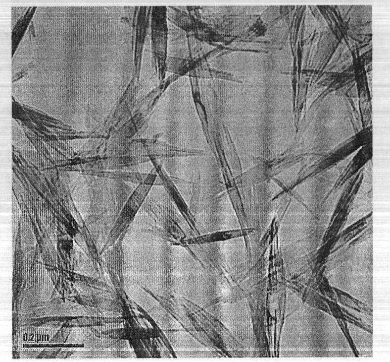 Method for preparing efficient nano ferric oxide drinking water type flocculants