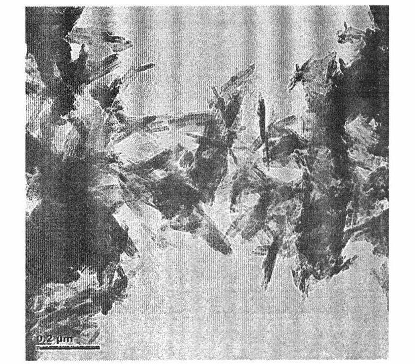 Method for preparing efficient nano ferric oxide drinking water type flocculants