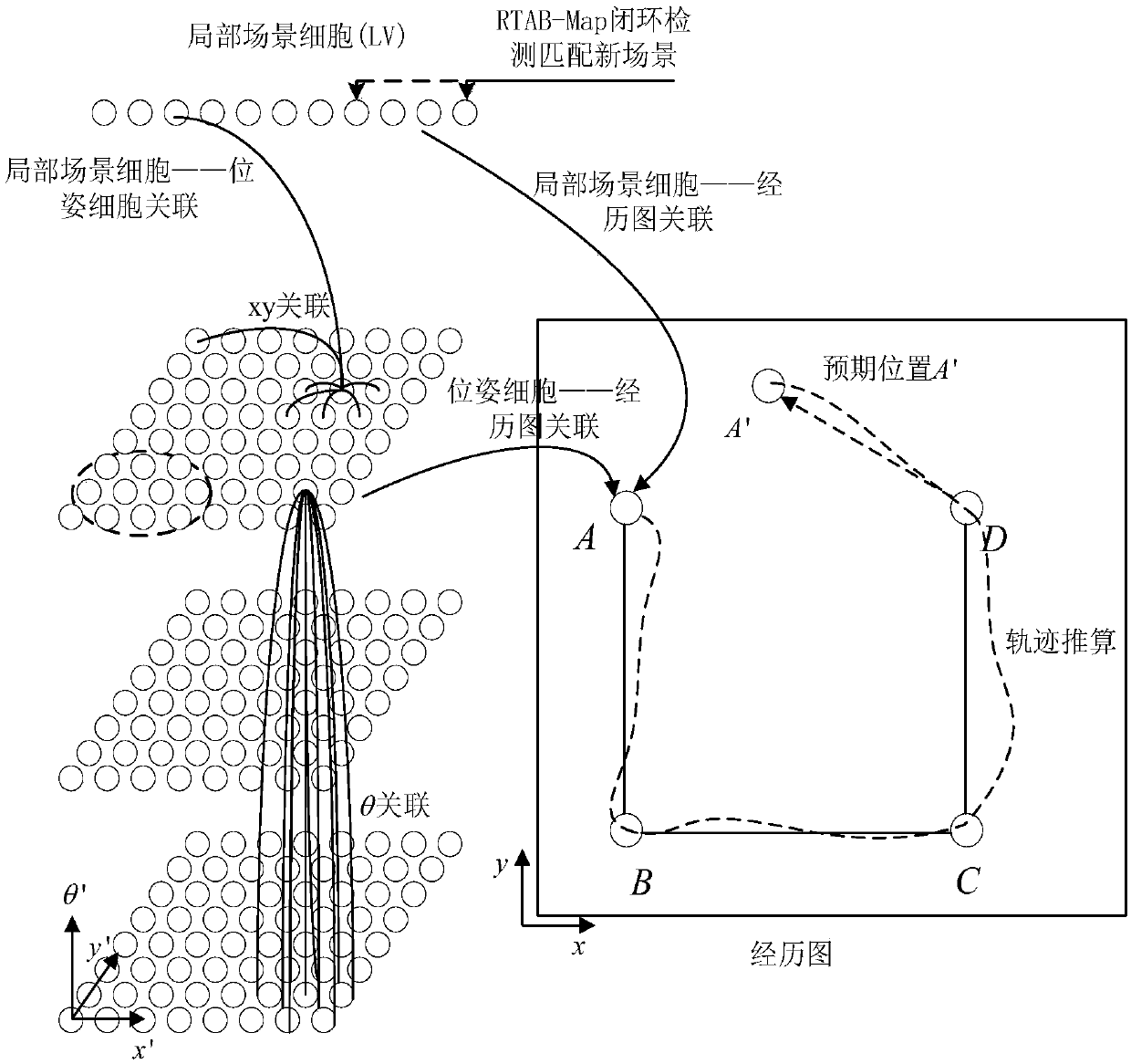 A slam method based on rodent model and rtab-map loop-closed detection algorithm