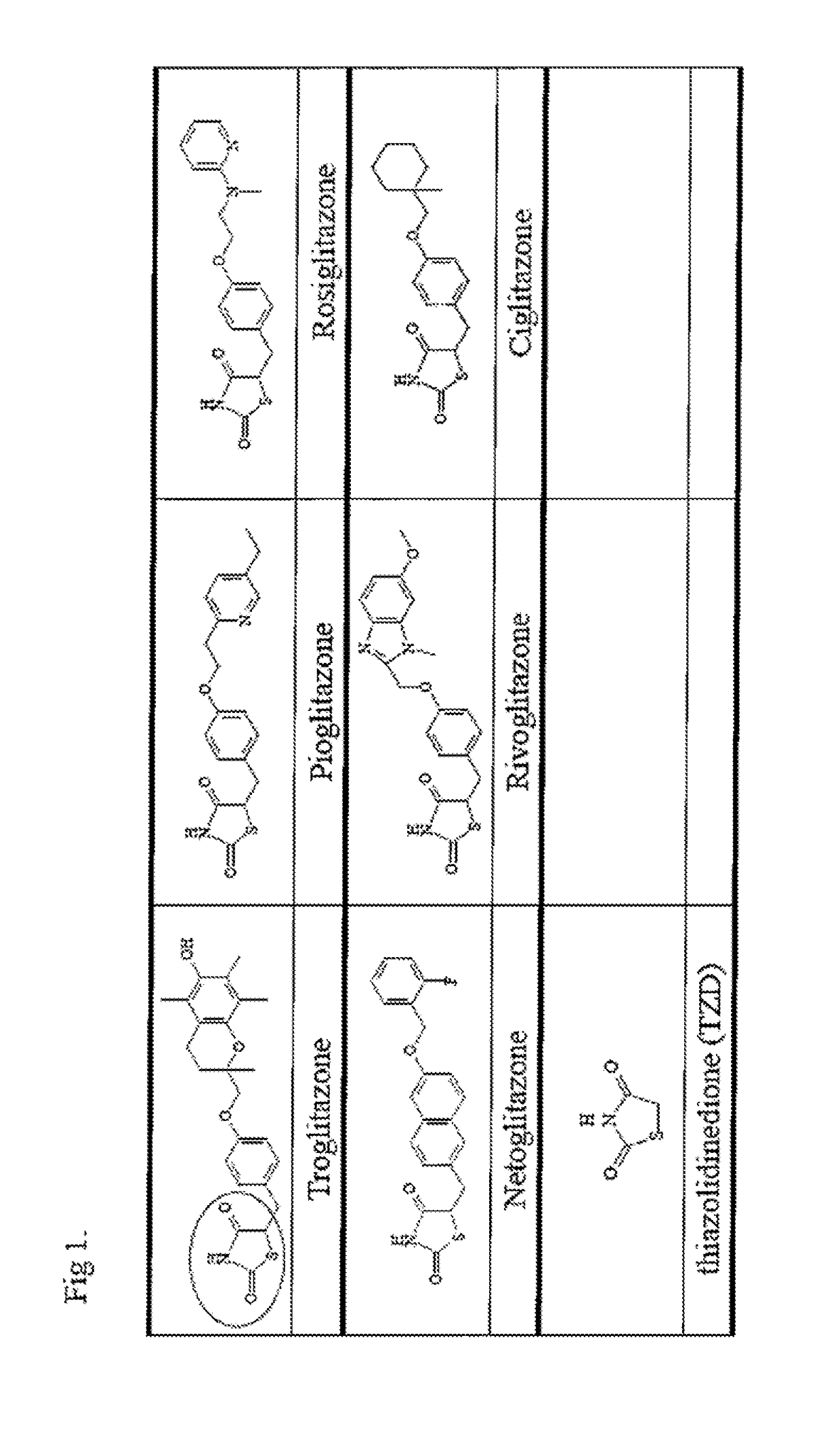 COMPOUNDS FOR ENHANCING PPARy EXPRESSION AND NUCLEAR TRANSLOCATION AND THERAPEUTIC USE THEREOF