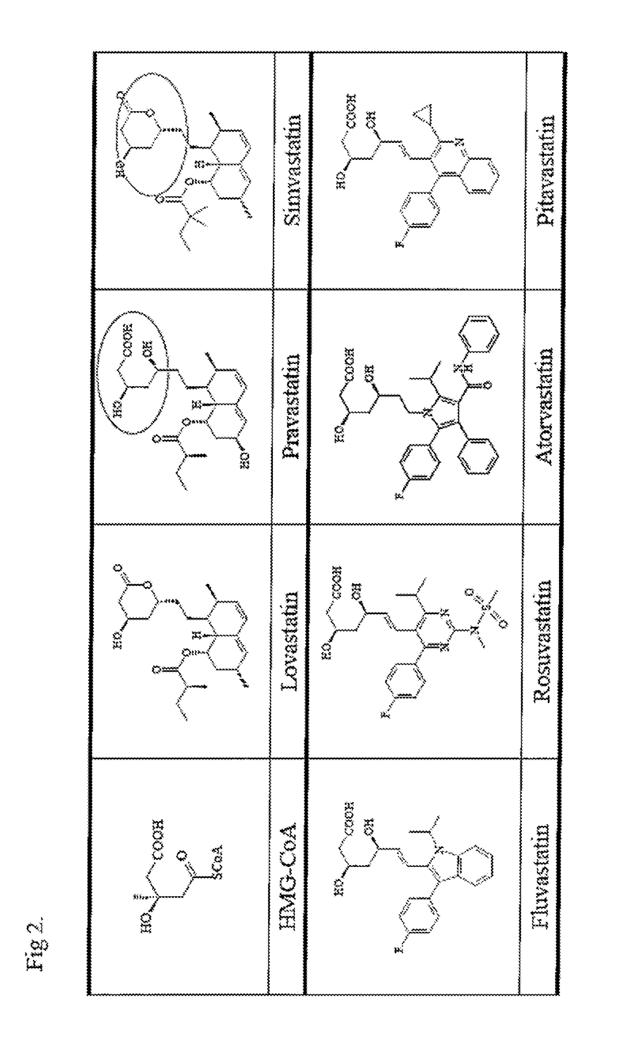 COMPOUNDS FOR ENHANCING PPARy EXPRESSION AND NUCLEAR TRANSLOCATION AND THERAPEUTIC USE THEREOF