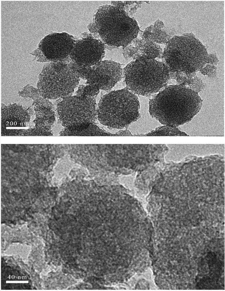 Nanoporous magnesium silicate microsphere/PBS (poly(butylene succinate)) composite scaffold, composite scaffold coated with protein, preparation methods and application