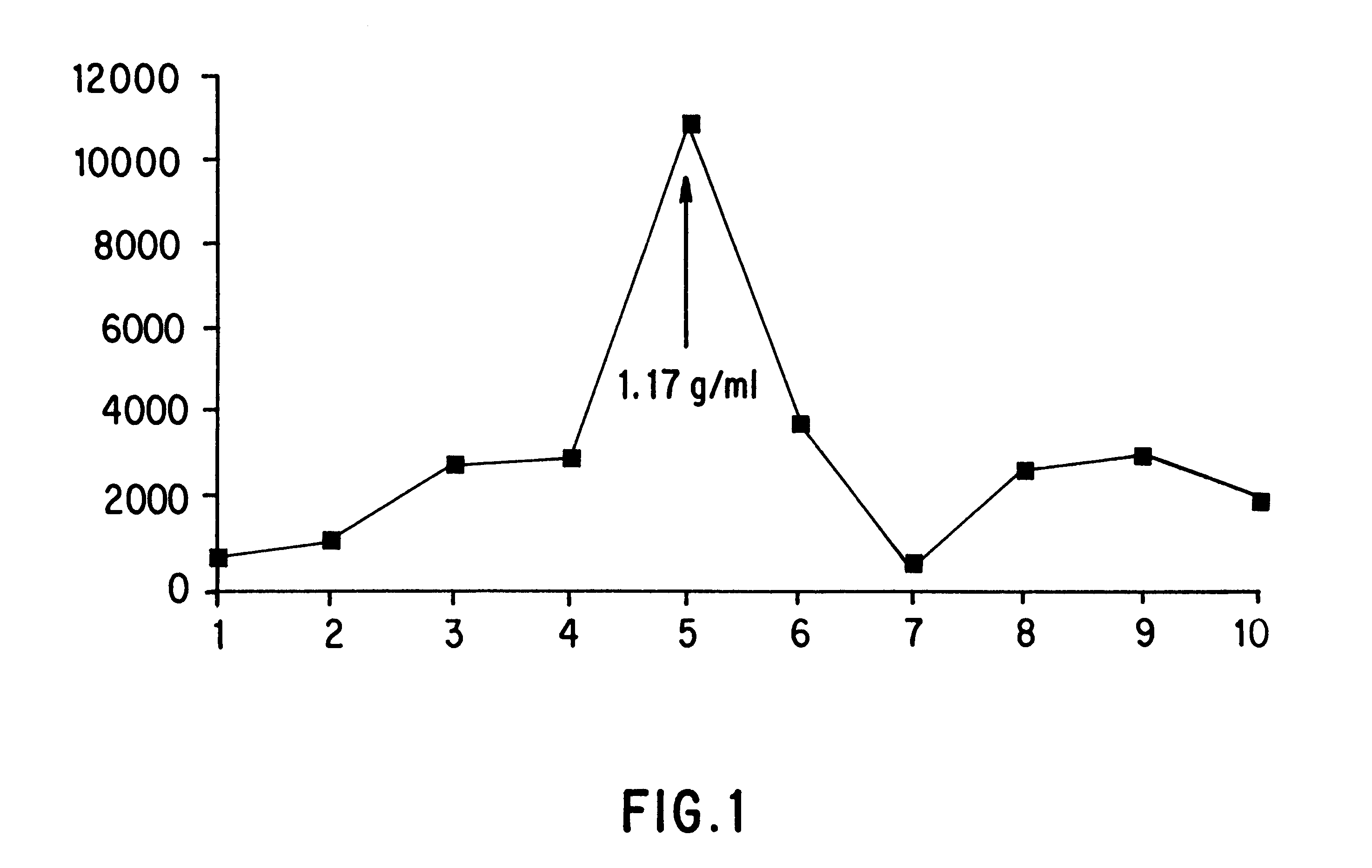 Process and culture medium for the production of cells infected by a multiple sclerosis-associated virus