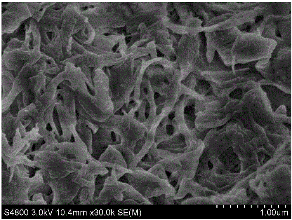 Method for sustainably preparing nanometer cellulose