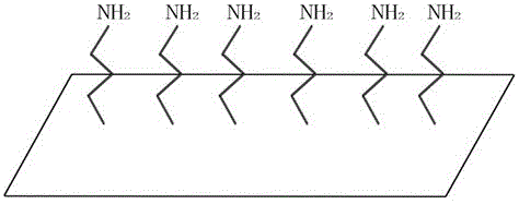 Active amino-modified substrate for microarray and preparation method of active amino-modified substrate